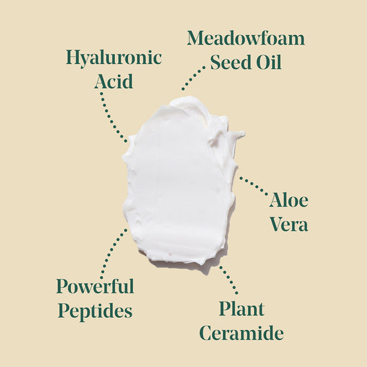 Every Evening Night Cream