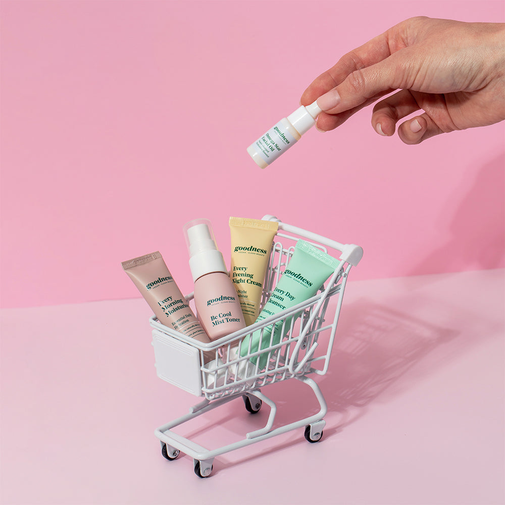 On the go Skincare Kit